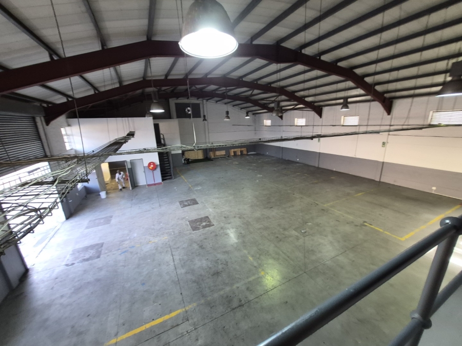 To Let Commercial Property for Rent in Paarden Eiland Western Cape